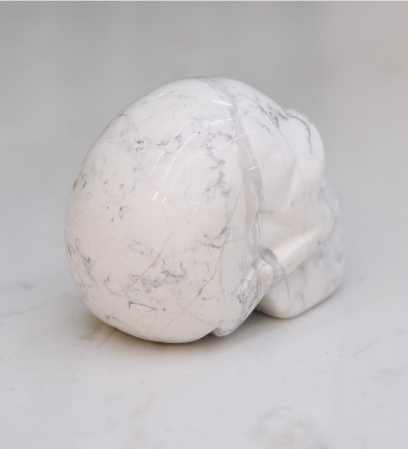 Howlite Skull