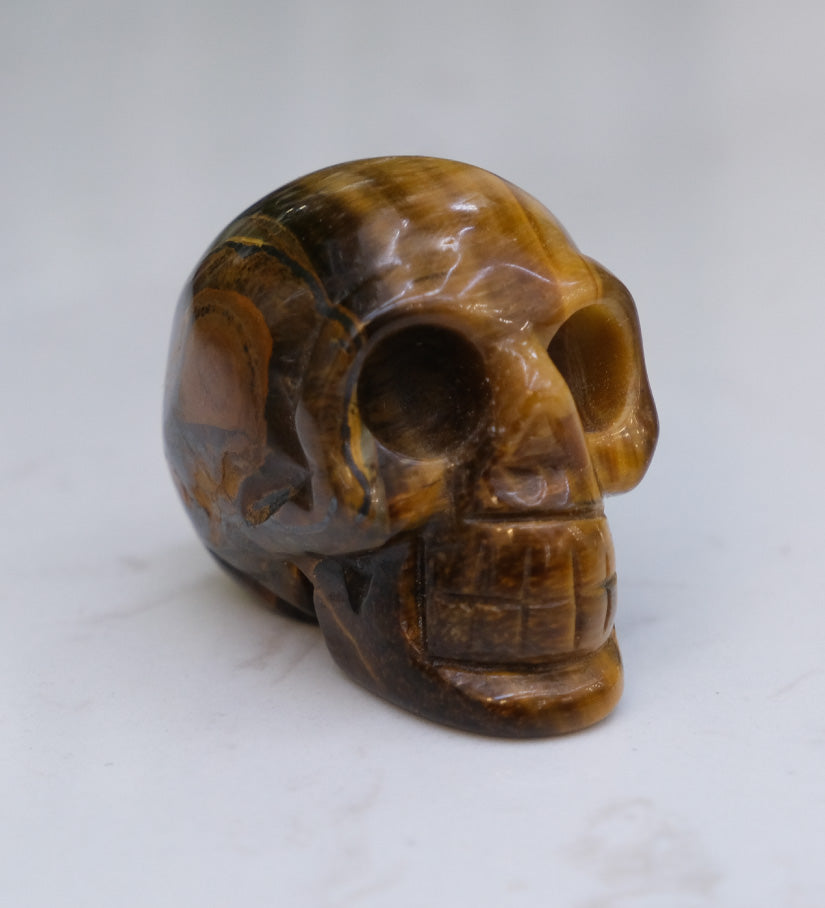 Tiger's Eye Skull