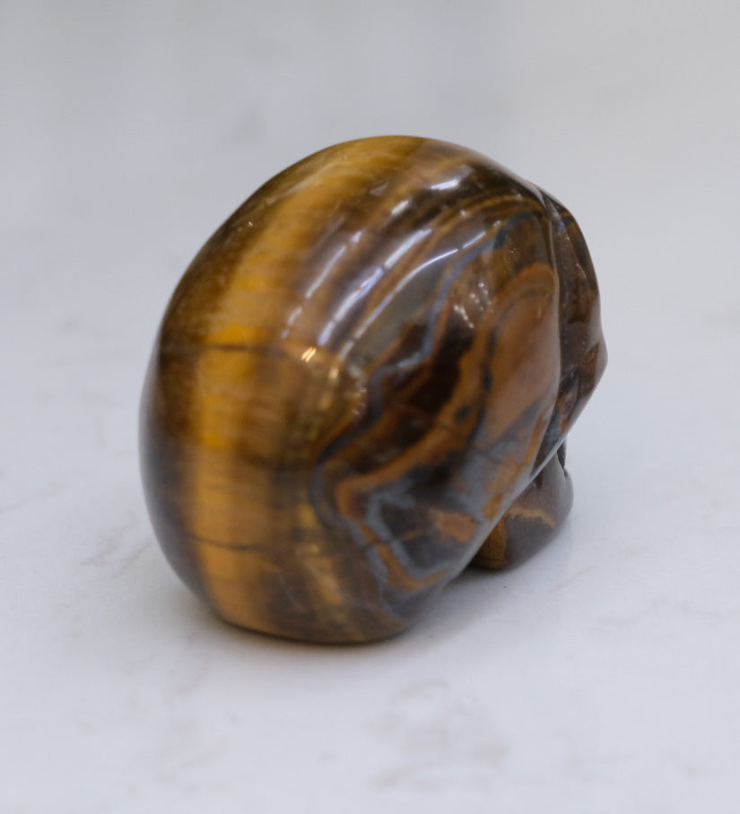 Tiger's Eye Skull