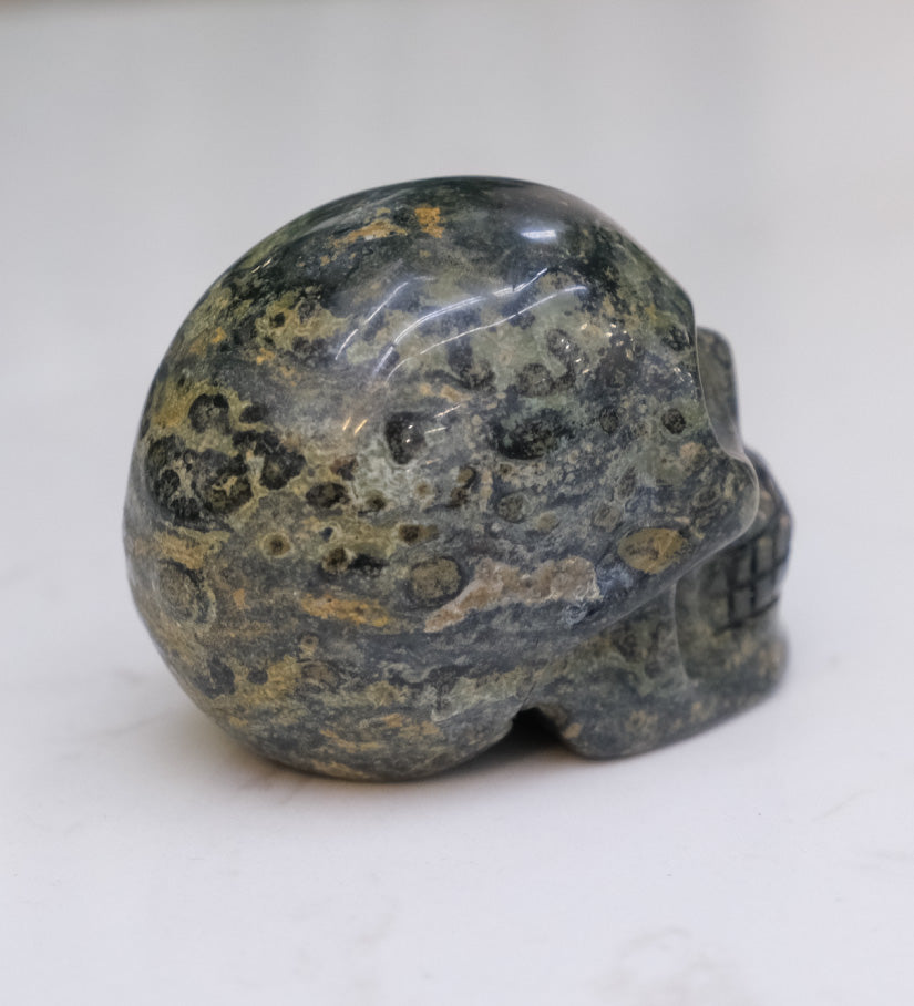 Kambaba Jasper Skull